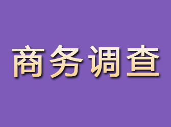 西平商务调查